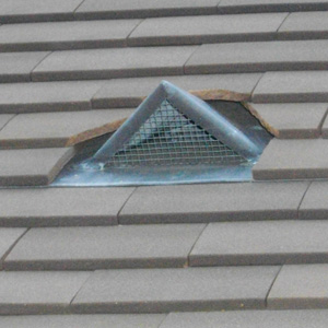 Pitched Roof Vents